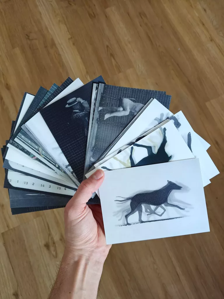 Muybridge